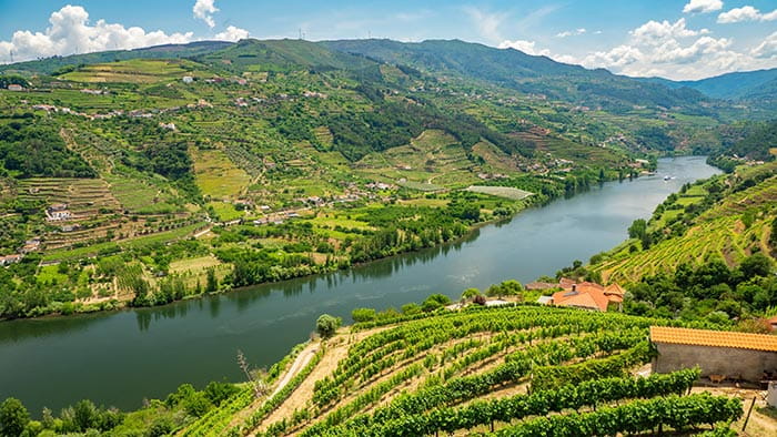 A view over the Douro river during summer